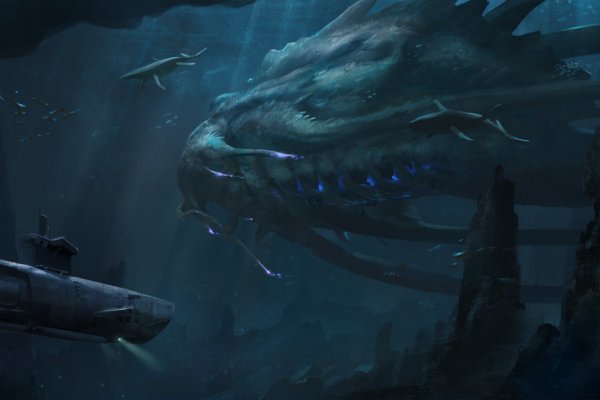 Kraken kraken link24 info